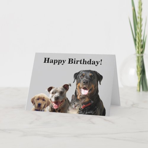 Adorable Pets From the Gang Birthday Card