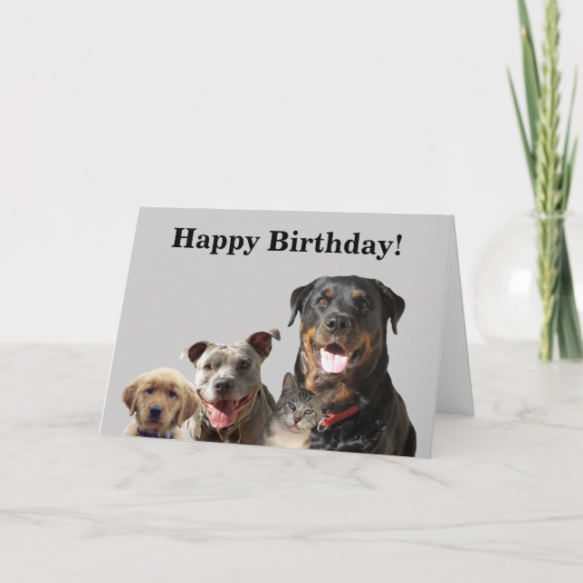 Adorable Pets From the Gang Birthday Card (Front)