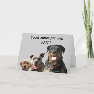 Adorable Pets Get Well Card