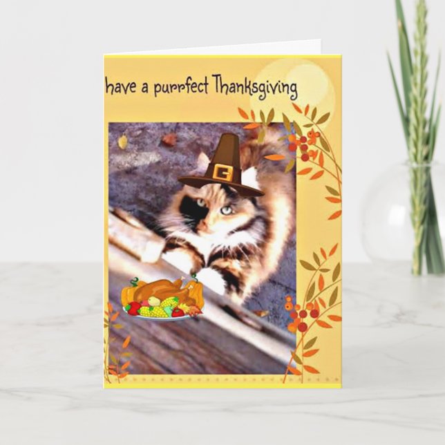 Adorable Pilgrim Cat Thanksgiving greeting card (Front)