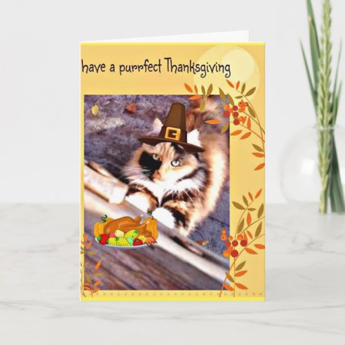 Adorable Pilgrim Cat Thanksgiving greeting card