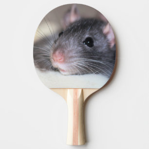 Adorable Ping Pong Paddle