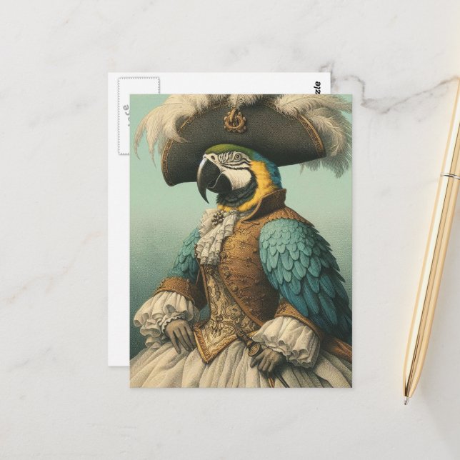 Adorable Pirate Bird Postcard (Front/Back In Situ)