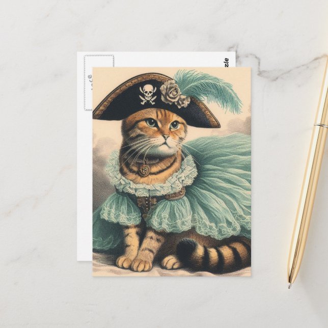 Adorable Pirate Cat Postcard (Front/Back In Situ)