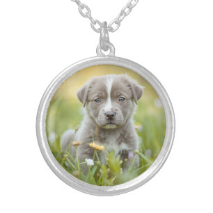 Adorable Pit Bull Round Silver Plated Necklace