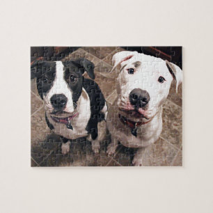 adorable pitbull puppies dogs jigsaw puzzle