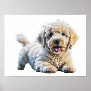 Adorable playful poodle puppy poster
