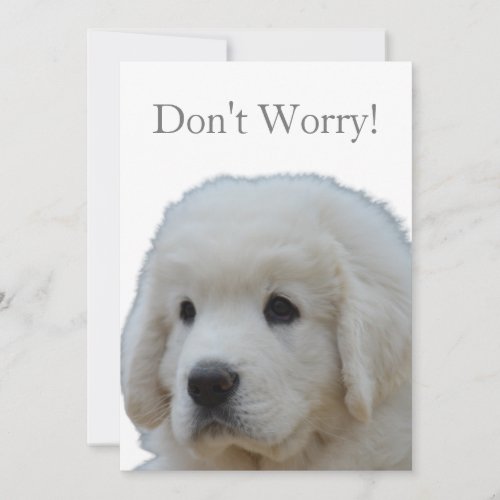 Adorable Polish Tatra Dont Worry greeting card