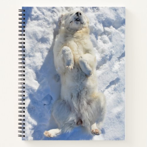 Adorable Polish Tatra Sheepdog in Snow Notebook