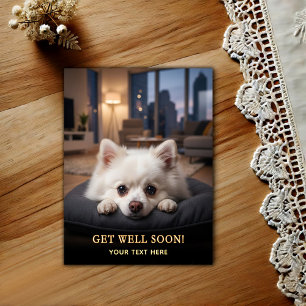 Adorable Pomeranian Get Well Postcard