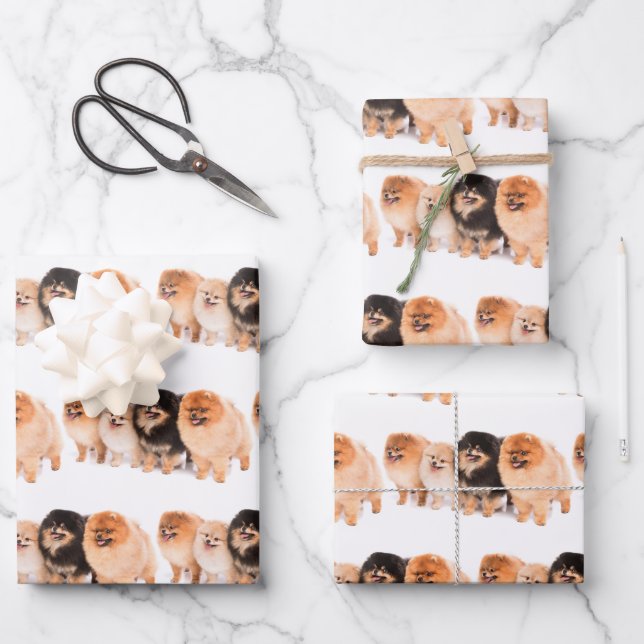 Adorable Pomeranian Wrapping Paper Set (Front)