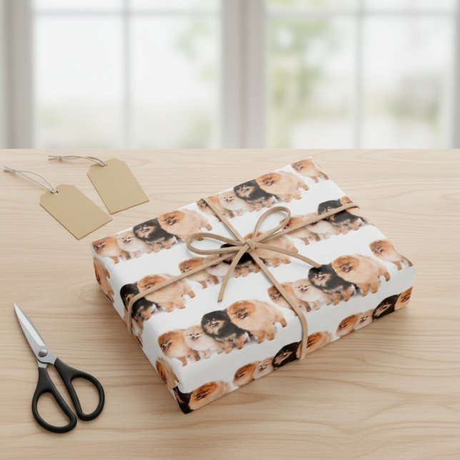 Adorable Pomeranian Wrapping Paper Set (Adorable Pomeranian Wrapping Paper Set)