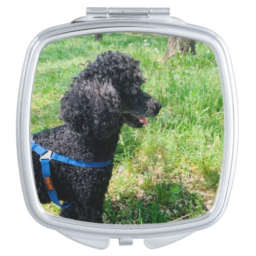 Adorable Poodle Compact Mirror