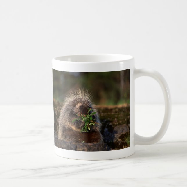 Adorable Porcupine Coffee Mug (Right)
