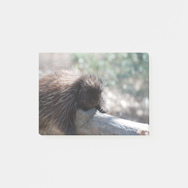Adorable Porcupine Post-it Notes (Front)