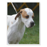 Adorable Portuguese Pointer Temporary Tattoos