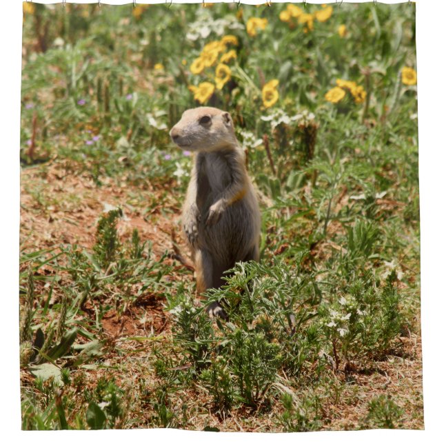 Adorable Prairie Dog Shower Curtain (Front)