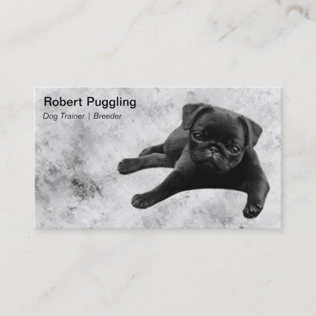Adorable Pug Puppy Business Card (Front)