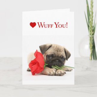 Adorable Pug Puppy Valentine with a Red Rose Holiday Card