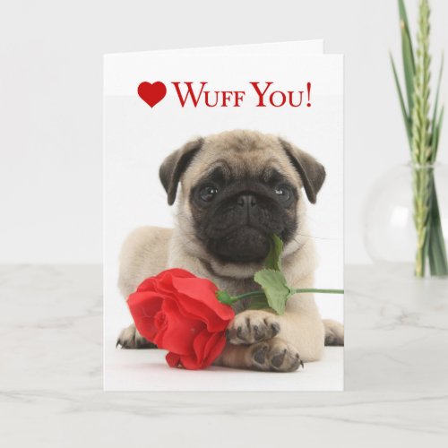 Adorable Pug Puppy Valentine with Red Rose Holiday Card