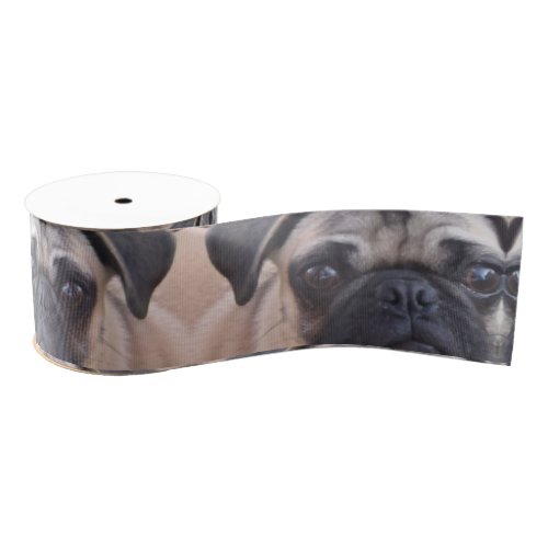 Adorable Pug Ribbon to Howl About