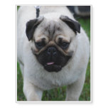 Adorable Pug Temporary Tattoos