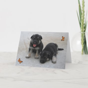 Adorable Puppies Card by KELLBELL535 at Zazzle