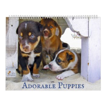 Adorable Puppies Personalized 2022 Calendar by vicesandverses at Zazzle