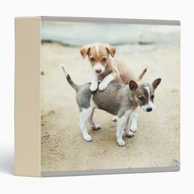 Adorable Puppies Playing on Beach 3 Ring Binder (Front/Spine)