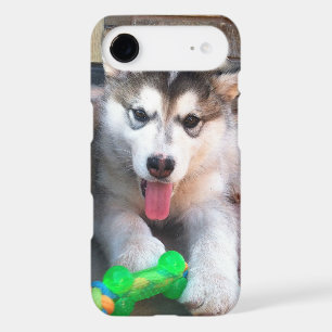 Adorable Puppy Alaskan Malamute Photograph iPhone 17 Air Case