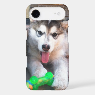 Adorable Puppy Alaskan Malamute Photograph iPhone 17 Air Case