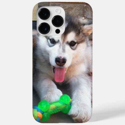 Adorable Puppy Alaskan Malamute Photograph Case_Mate iPhone 14 Pro Max Case