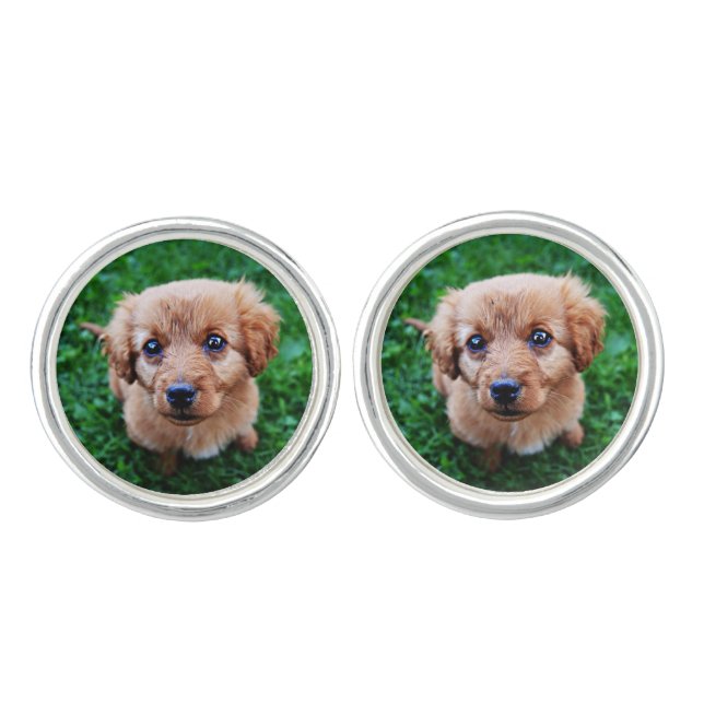Adorable Puppy Cufflinks (Front)