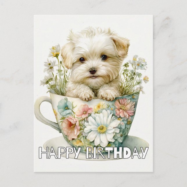 Adorable Puppy In A Tea Cup Postcard (Front)