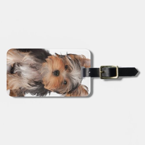 Adorable puppy luggage tag