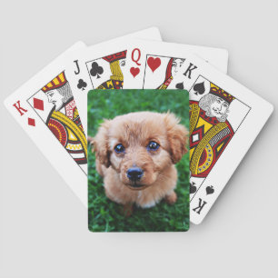 Adorable Puppy on Lawn Photo Poker Cards