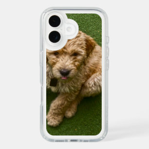 Adorable Puppy iPhone 16 Case