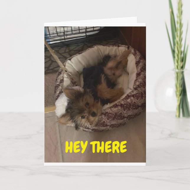 ADORABLE PUPPY WAKES UP TO SAY "HAPPY BIRTHDAY" CARD (Front)