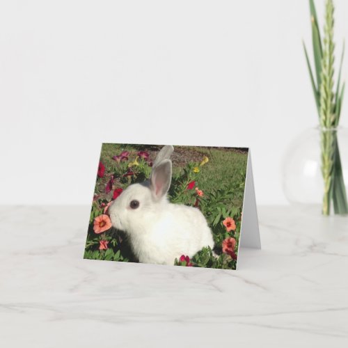 Adorable Rabbit Note Card