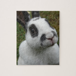 Adorable Rabbit Puzzle