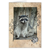 Adorable Raccoon (Front)