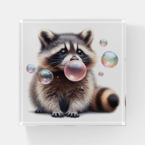 Adorable Raccoon Blowing Bubble Gum  Paperweight