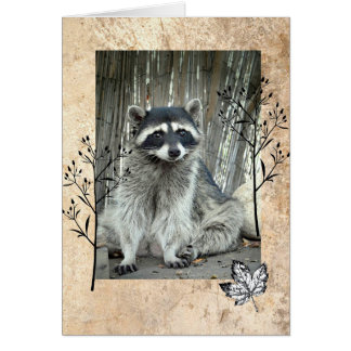 Adorable Raccoon Cards