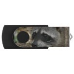 Adorable Raccoon Flash Drive
