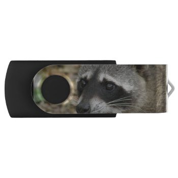 Adorable Raccoon Flash Drive by WildlifeAnimals at Zazzle