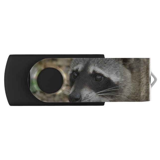 Adorable Raccoon Flash Drive (Front)