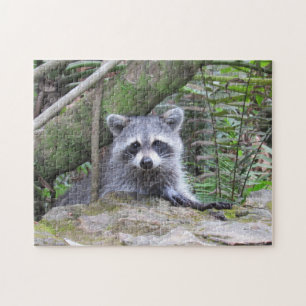 Adorable Raccoon in the Forest Jigsaw Puzzle