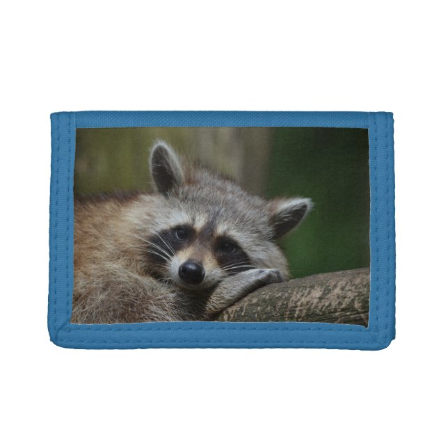 Adorable Raccoon Tri-fold Wallet (Front)