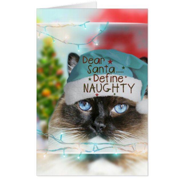 Adorable Ragdoll cat giant Christmas card (Front)
