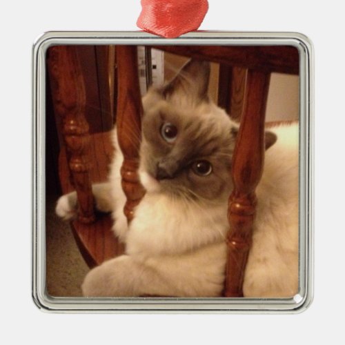 Adorable Ragdoll Cat lounging on a chair Metal Ornament